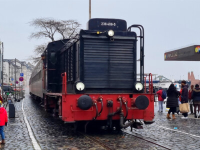 V36 406 am Eisernen Steg - Halloween Express 2021 (Foto: Filip Holz)
