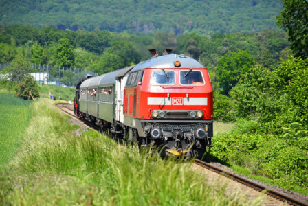 Pfingstdampf: 218 191-5 mit 52 4867 bei Schneidhain (28.5.2023 - Foto: Sven Eichler)